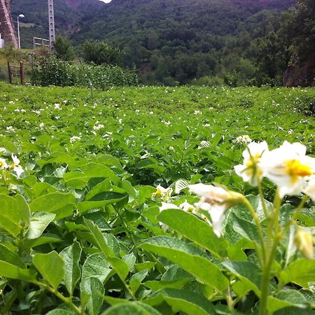 Casa Masover Buira 外观 照片